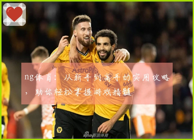 ng体育：从新手到高手的实用攻略，助你轻松掌握游戏精髓