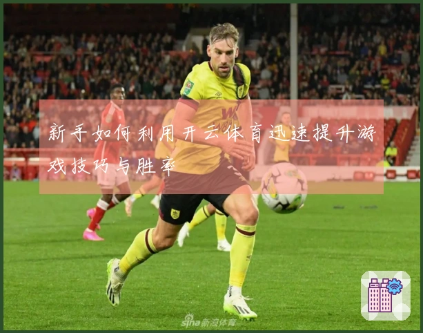 新手如何利用开云体育迅速提升游戏技巧与胜率